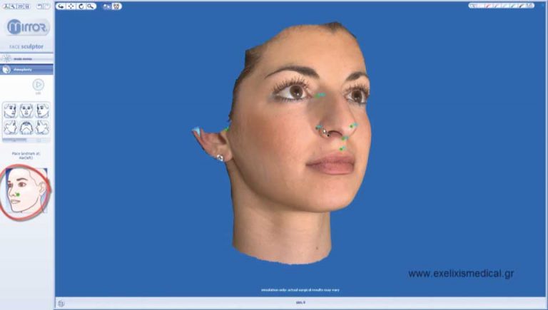 free nose job simulator